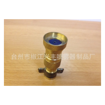 ptt-20噴霧器配件 電動噴霧器噴頭 銅單噴頭（?。? onerror=