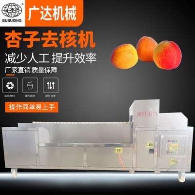 廠(chǎng)家供應(yīng) 杏子去核機(jī) 全自動(dòng)新型去核機(jī) 去核機(jī)