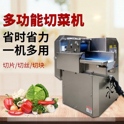 廠家供應(yīng)BJ-20型多功能切菜機食堂餐飲商用不銹鋼切條切絲切菜機