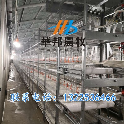 三黃雞 肉雞籠養(yǎng)設備料盤式自動清糞三層籠養(yǎng)設備雞籠養(yǎng)殖設備