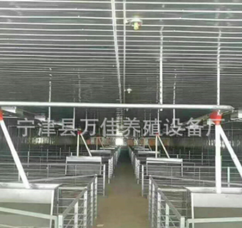 養(yǎng)豬自動喂料機械 豬舍不繡鋼食槽型號訂做
