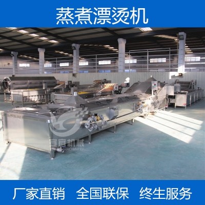 專業(yè)生產(chǎn)大型米粉米線蒸煮漂燙機(jī) 全自動(dòng)粉絲粉條蒸煮漂燙流水線