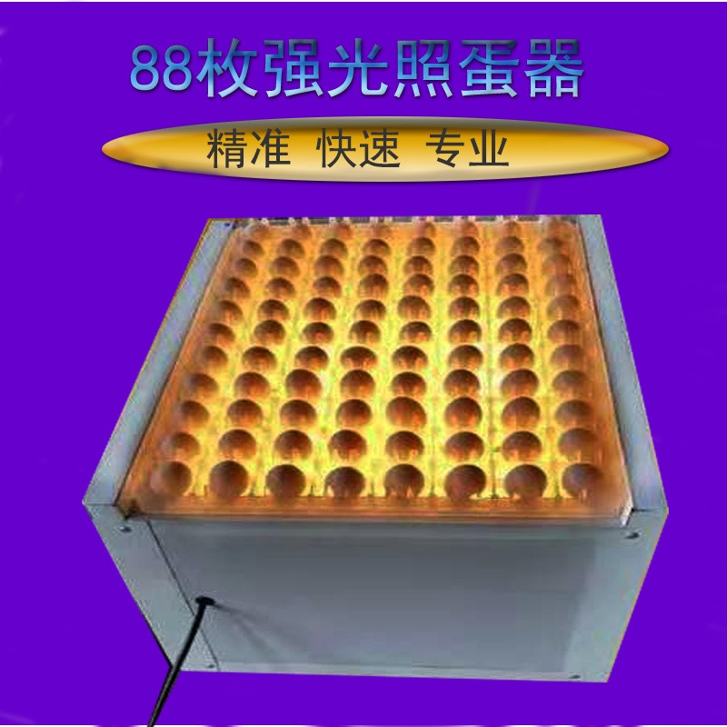 88枚照蛋箱孵化機專用吹風機式照蛋器迷你畜牧冷光照蛋燈整盤照蛋