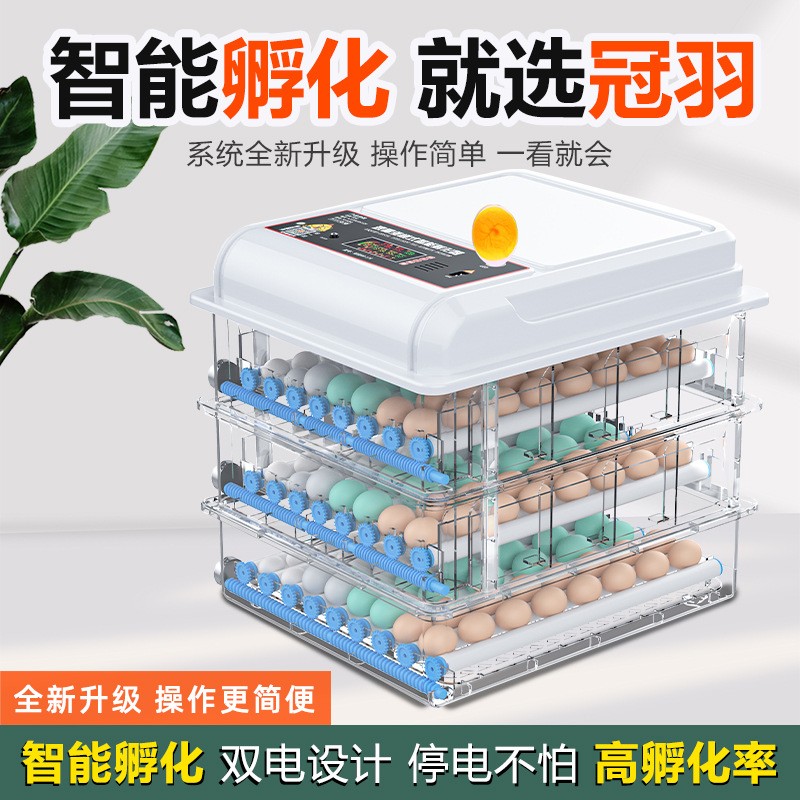 定制家用孵化器小型孵化箱智能全自動孵化機跨境迷你雞蛋孵蛋器