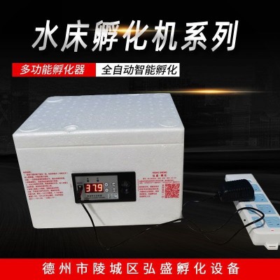 全自動仿生水床孵化機家用小型智能孵蛋器雞鴨鵝迷你孵化箱