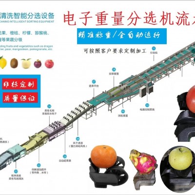 電子智能稱重芒果分選機(jī)芒果分級機(jī)分揀機(jī)克重分選機(jī)