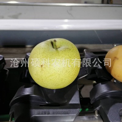 電子稱重克重檸檬分級機(jī) 分選機(jī)小型篩選機(jī)水果分選機(jī)