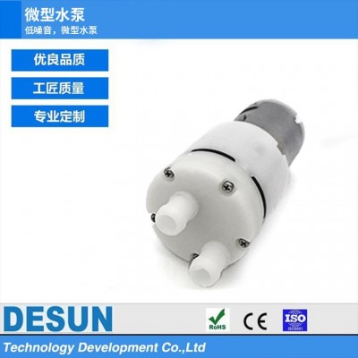 6V/24V雙孔家用電器微型水泵空調排水泵技術增壓