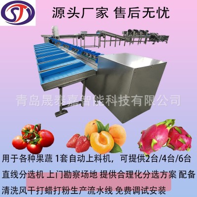 全自動選果機(jī) 水果重量分選機(jī) 直線滾輪果蔬分級機(jī) 源頭生產(chǎn)廠家