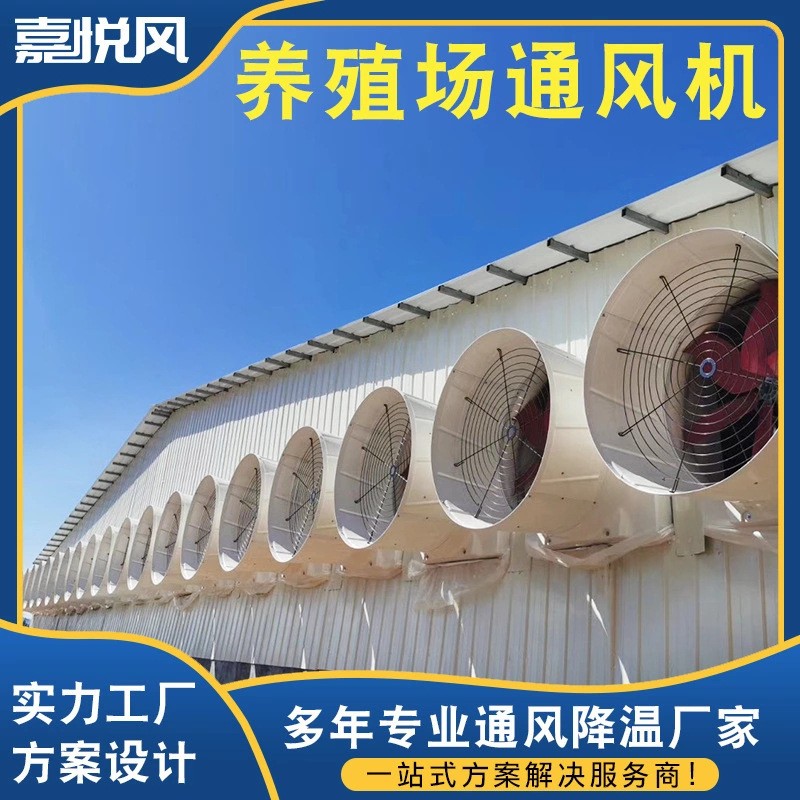 養(yǎng)殖場(chǎng)降溫通風(fēng)工程 包安裝飼養(yǎng)基地降溫玻璃鋼喇叭型負(fù)壓通風(fēng)機(jī)