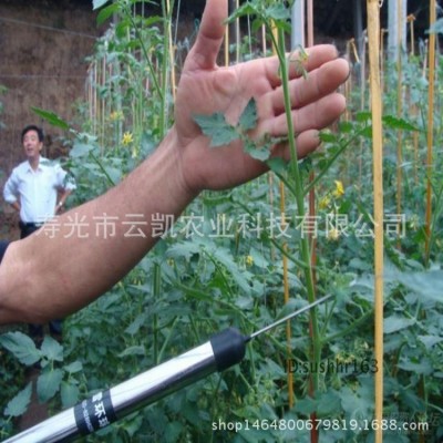廠家直銷巧蜜蜂電動番茄授粉器 西紅柿振動授粉機(jī) 代替西紅柿點(diǎn)花