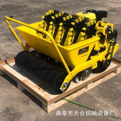 操作簡便 手推汽油大蒜行播種機(jī) 零故障質(zhì)量可靠 德意播國貨精品