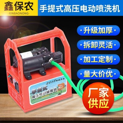 手提式高壓電動噴洗機 雙泵打藥機 園林智能大功率手提農(nóng)用噴霧器