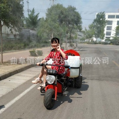 杏樹殺蟲噴霧打藥車 果園可乘式風送打藥機 摩托三輪車帶噴霧機