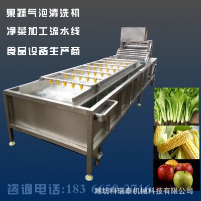 小香蔥氣泡清洗機 韭菜去農(nóng)殘專用清洗機 芹菜清洗流水線