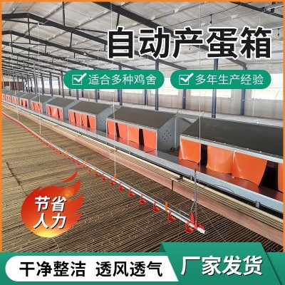 自動產(chǎn)蛋箱 禽畜自動產(chǎn)蛋設備 廠家供應框架式蛋箱