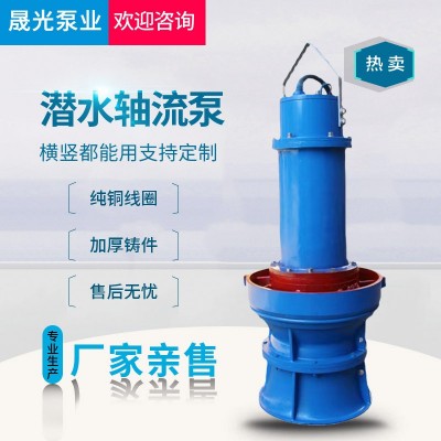 晟光泵業(yè)350QZB系列潛水軸流泵農(nóng)田灌溉380V潛水泵廠家批發(fā)