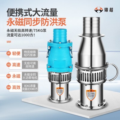 錦超大流量便攜式軸流潛水泵高揚(yáng)程排澇不銹鋼永磁防洪泵潛水泵