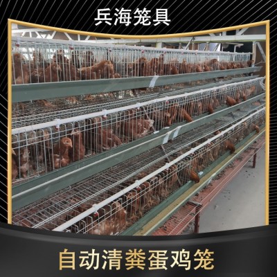 三層階梯式蛋雞籠輸送帶清糞省人工自動養(yǎng)殖設(shè)備養(yǎng)雞設(shè)備自動化