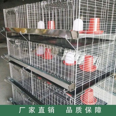 廠家供應(yīng)雞籠 四層立體式小雞籠 雞籠設(shè)備養(yǎng)殖雞籠批發(fā)家禽養(yǎng)殖設(shè)