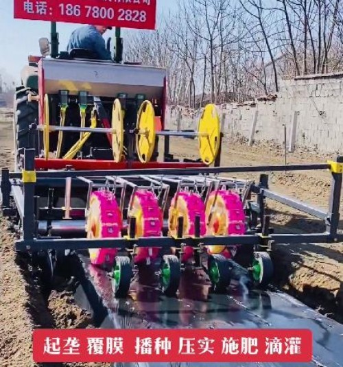 東樂(lè)制造多功能蔬菜移栽機(jī) 紅薯 甘藍(lán) 辣椒移栽設(shè)備 性能穩(wěn)定操作簡(jiǎn)單