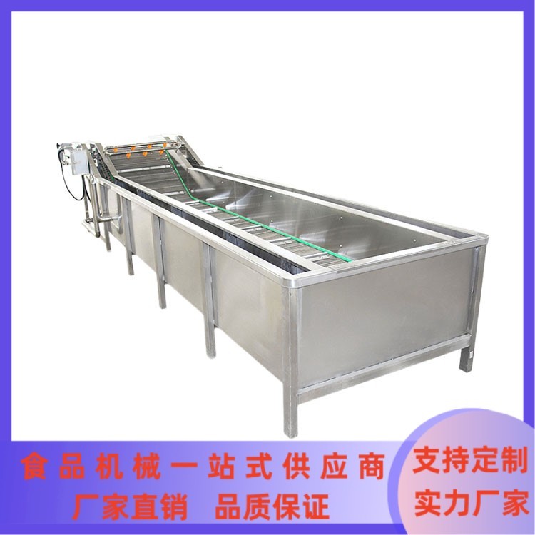 大型商用蔬菜清洗流水線 果蔬氣泡清洗機 餐廳洗菜機 凈菜加工設(shè)備