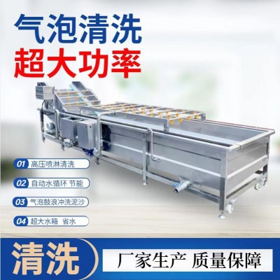 全自動(dòng)氣泡清洗機(jī) 辣椒大棗果蔬清洗機(jī) 商用大型銀耳玉米清洗設(shè)備