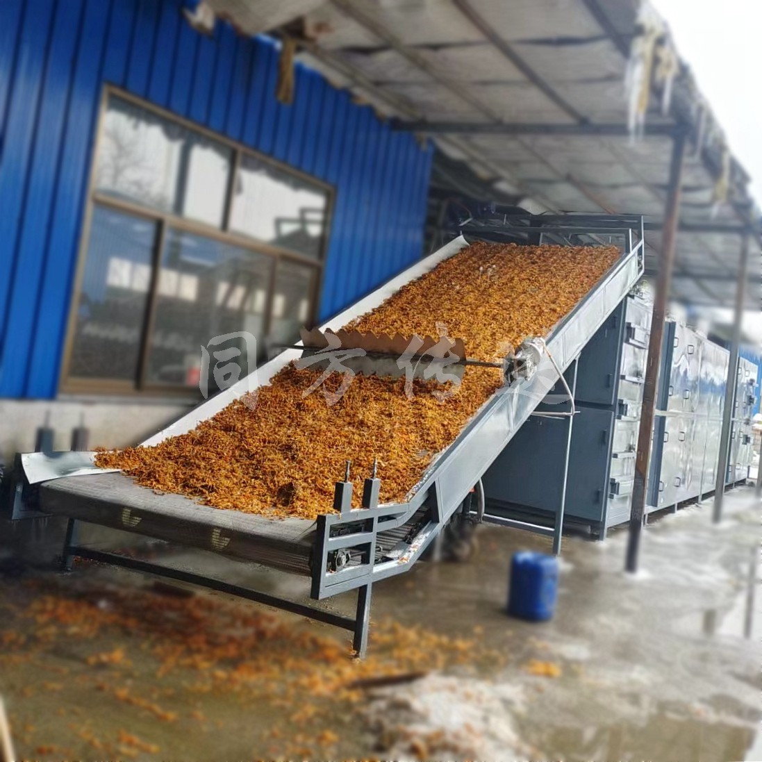 不銹鋼食品藥材干燥機 多層網(wǎng)帶式中草藥熱泵烘干機 果蔬空氣能烘干
