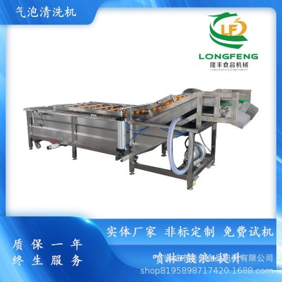 全自動商用洗菜機(jī) 玉米氣泡清洗機(jī) 不銹鋼辣椒鼓浪式氣泡清洗機(jī)
