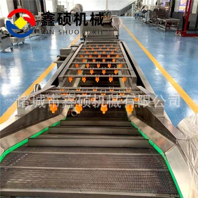 菌菇類加工清洗生產(chǎn)流水線 香菇片木耳絲清洗流水線 氣泡式清洗機