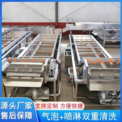 大型果蔬氣泡清洗機設(shè)備 洗毛肚食材氣泡翻滾洗菜機 廠家供應(yīng)
