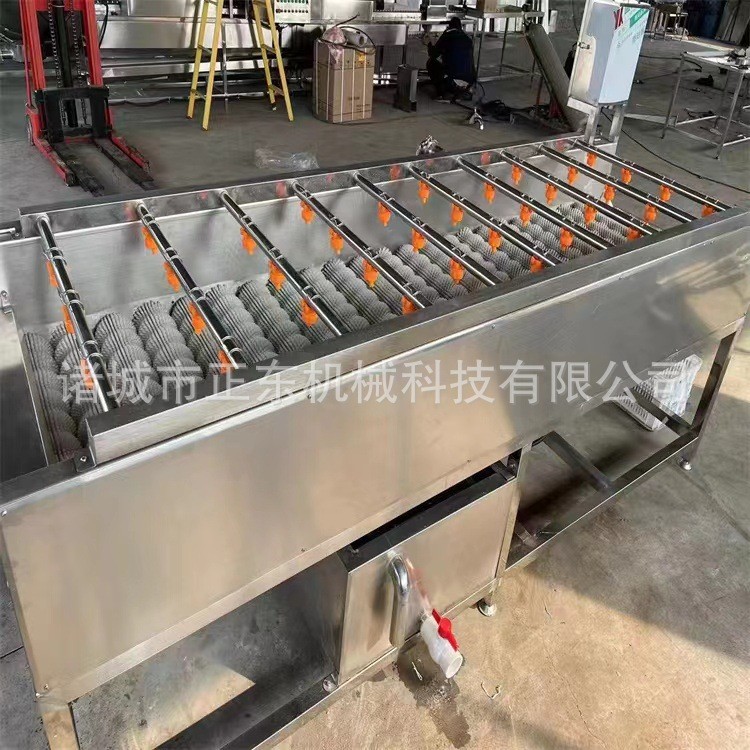 芋頭地瓜清洗機(jī) 根莖類蔬菜毛輥清洗設(shè)備 胡蘿卜毛輥清洗機(jī)