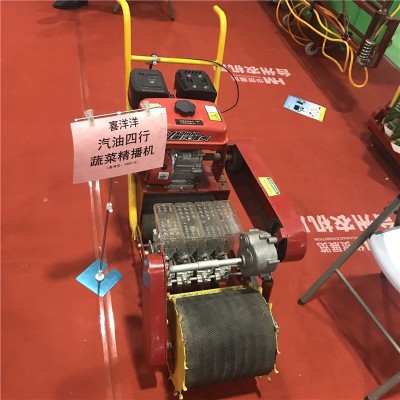 汽油蔬菜播種機(jī) 蔬菜精播機(jī)電動(dòng)蔬菜精播機(jī)點(diǎn)播機(jī) 蔬菜精量播種機(jī)