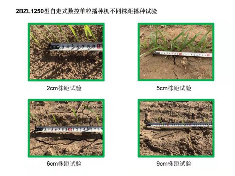 自走式數(shù)控單粒播種機(jī)(谷物類)