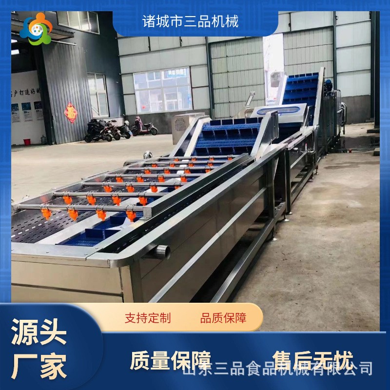 全自動(dòng)枸杞清洗機(jī) 鮮花生氣泡清洗機(jī) 果蔬大型清洗機(jī)流水線
