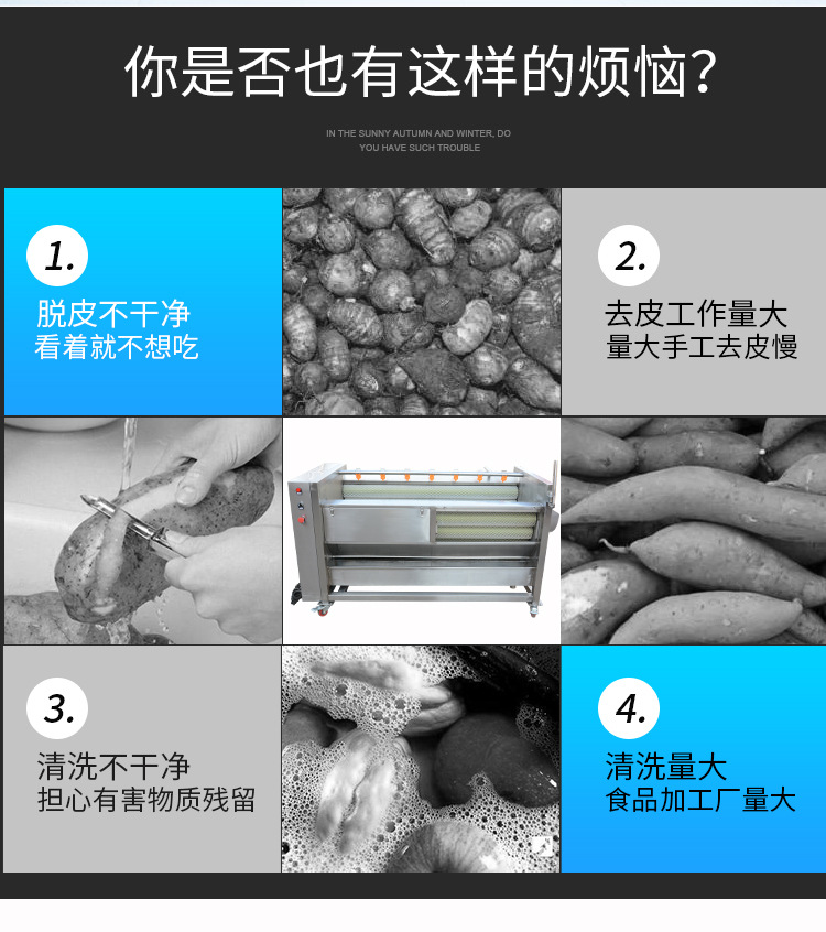 毛刷去皮清洗機(jī)_02