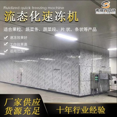 速凍西蘭花加工設備流水線 花椰菜速凍機 食品連續(xù)式速凍機