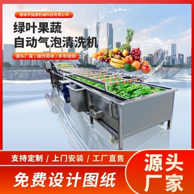 多功能全自動(dòng)果蔬蔬菜清洗機(jī)氣泡式噴淋豆角清洗機(jī)洗菜機(jī)設(shè)備廠家