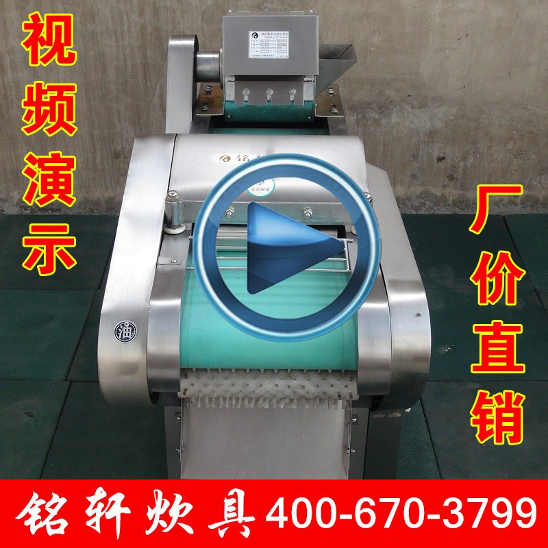 供應(yīng)1000型 多功能切菜機 切苦瓜片機 切海帶機 切梅干菜機