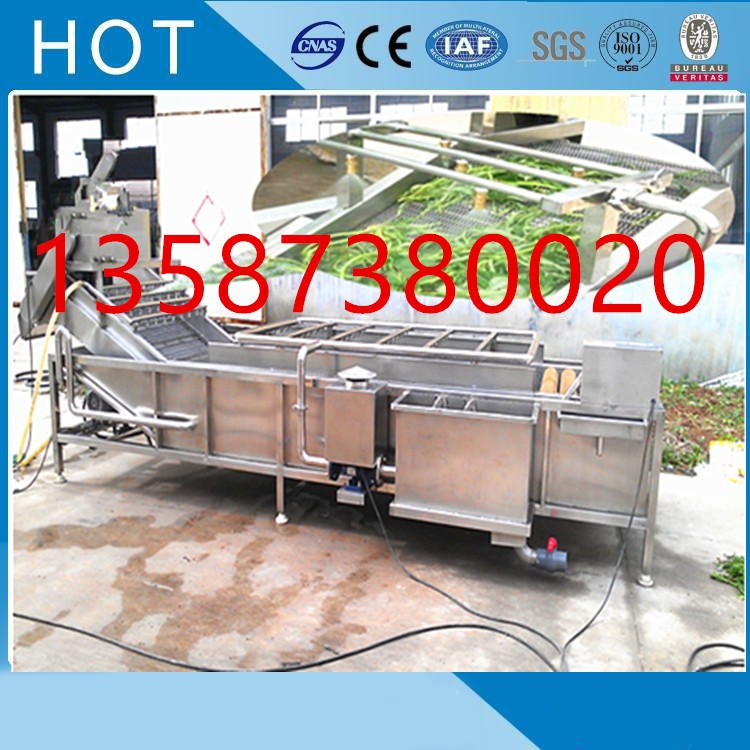 斜沖式果蔬清洗機(jī)高壓水噴淋循環(huán)毛刷滾筒氣泡清洗機(jī)渦流式清洗機(jī)