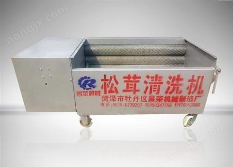 松茸清洗機11