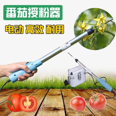 前窗番茄小西紅柿電動授粉器震動授粉機(jī)器小柿子點(diǎn)花機(jī)點(diǎn)花器