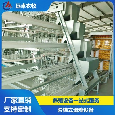 蛋雞養(yǎng)殖自動化設備福建漳州四層階梯立體蛋雞 a型階梯蛋雞籠