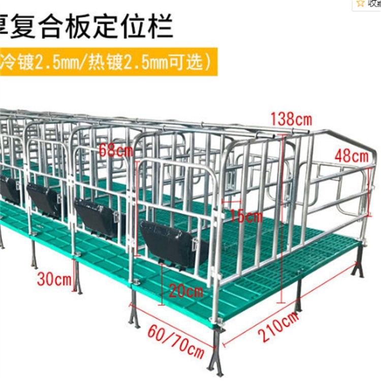 定制 母豬限位欄 加厚定位欄 養(yǎng)豬場(chǎng)育肥舍圈欄