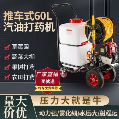 汽油打藥機手推式電動打藥機消毒養(yǎng)殖場專用農(nóng)用高壓四沖程噴霧器