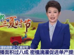 在希望的田野上·三夏時(shí)節(jié) 河南 夏播面積過(guò)八成 密植滴灌促進(jìn)單產(chǎn)提升